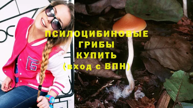 Псилоцибиновые грибы Psilocybe  omg   площадка какой сайт  где продают   Николаевск 